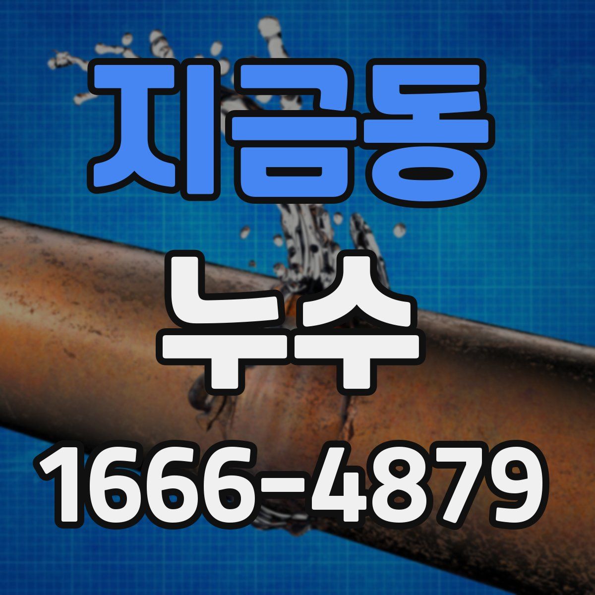 지금동 누수
