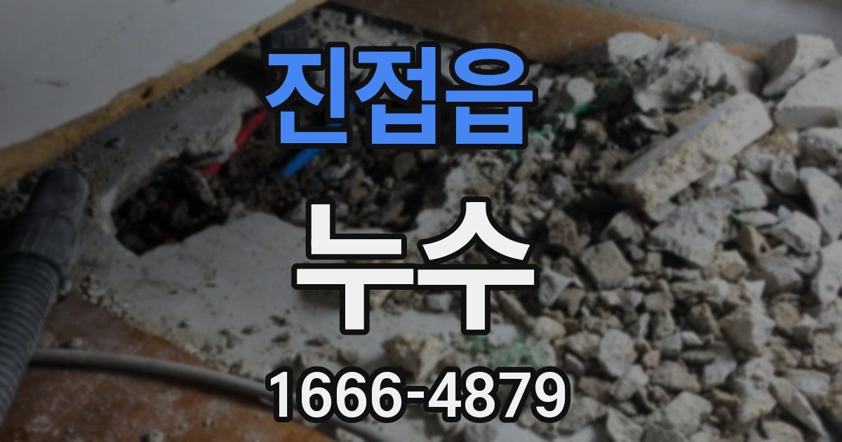 진접읍 누수