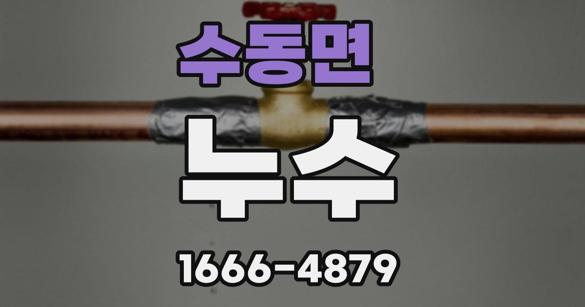 수동면 누수