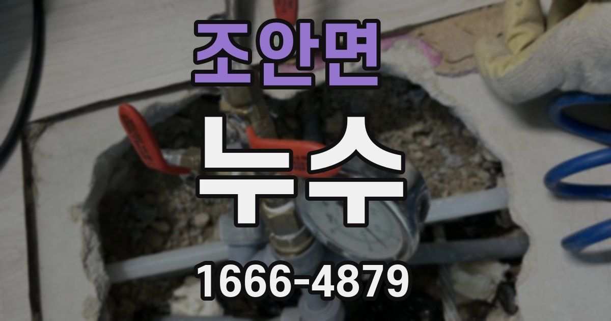 조안면 누수