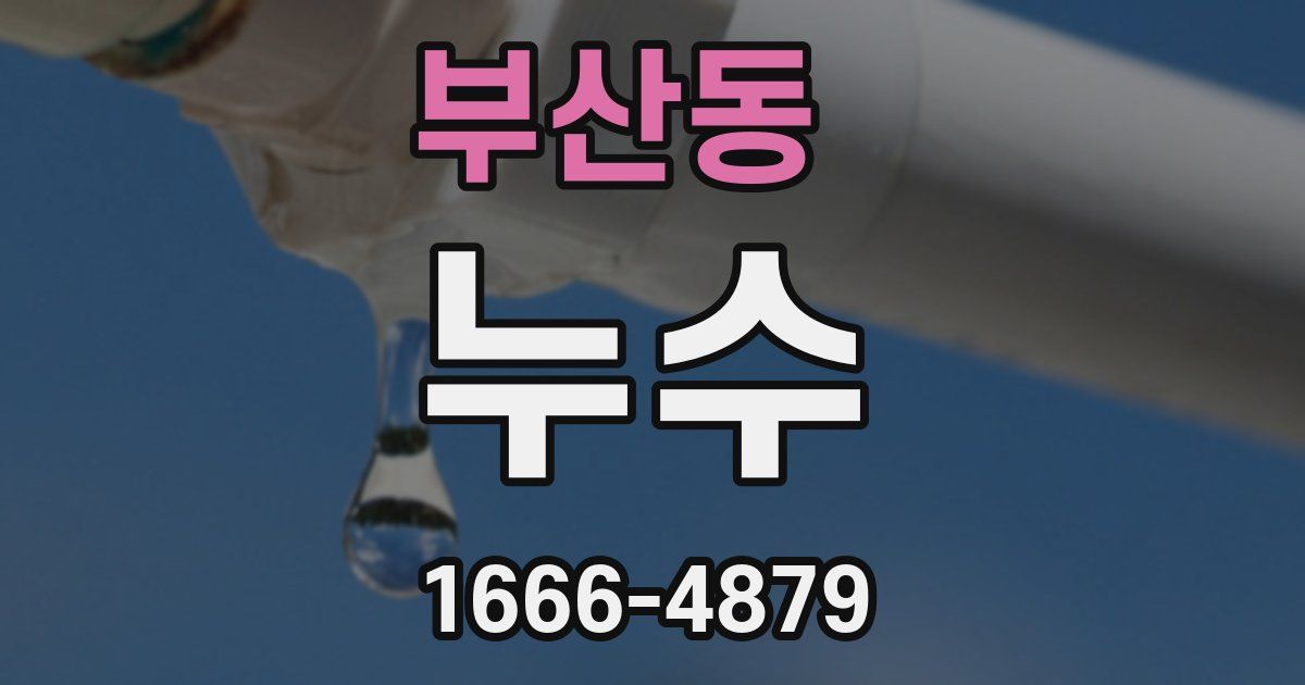부산동 누수