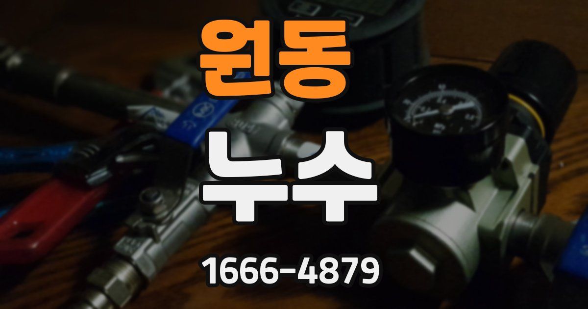 원동 누수