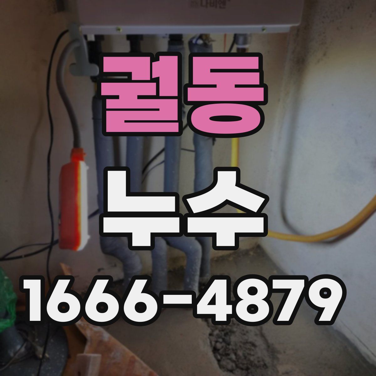 궐동 누수