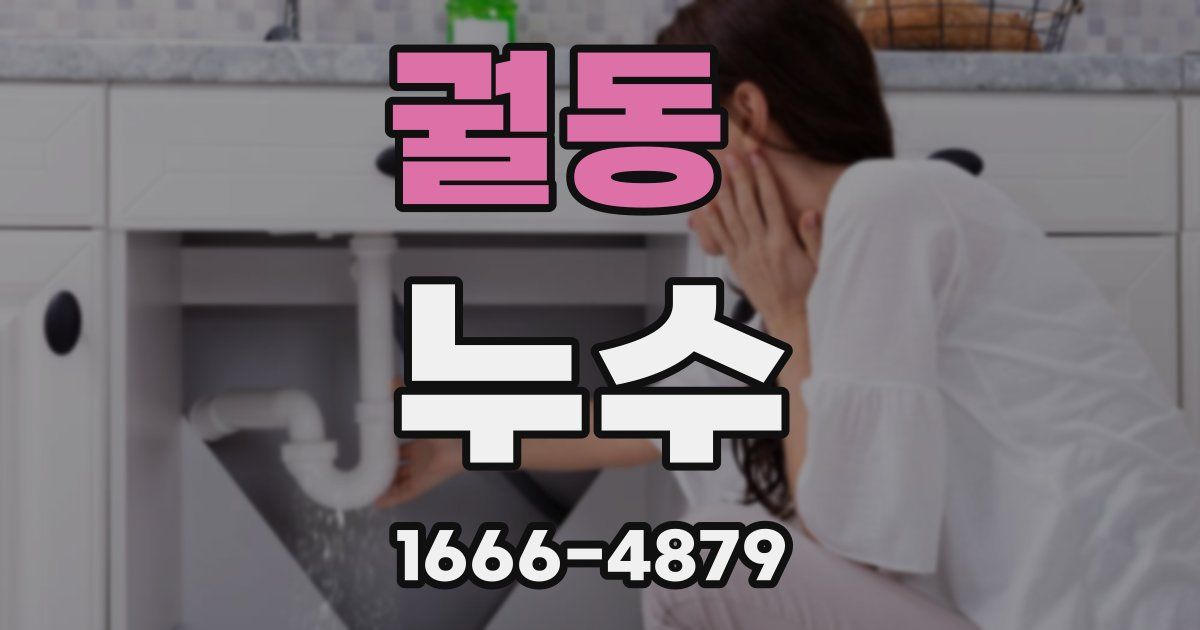 궐동 누수