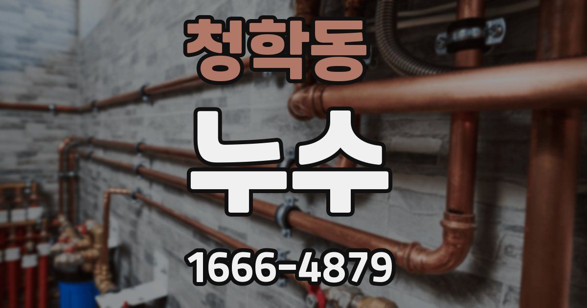 청학동 누수