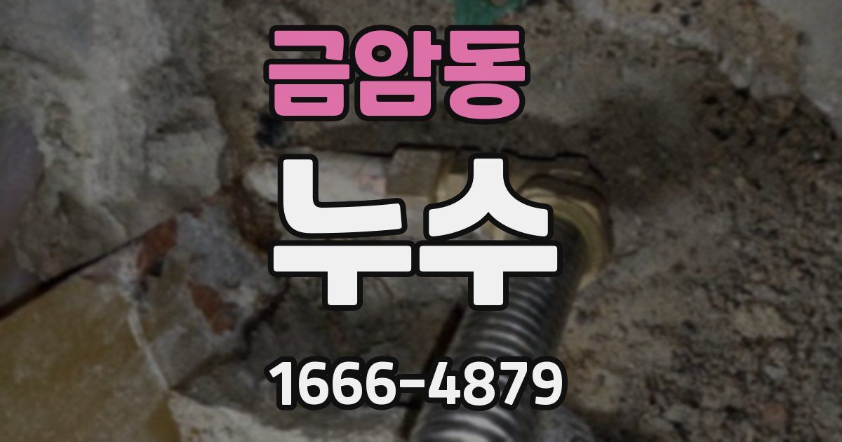 금암동 누수