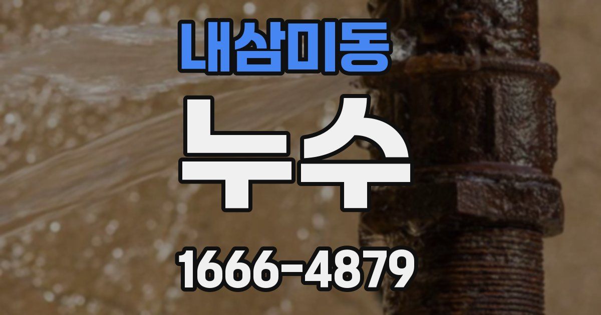 내삼미동 누수
