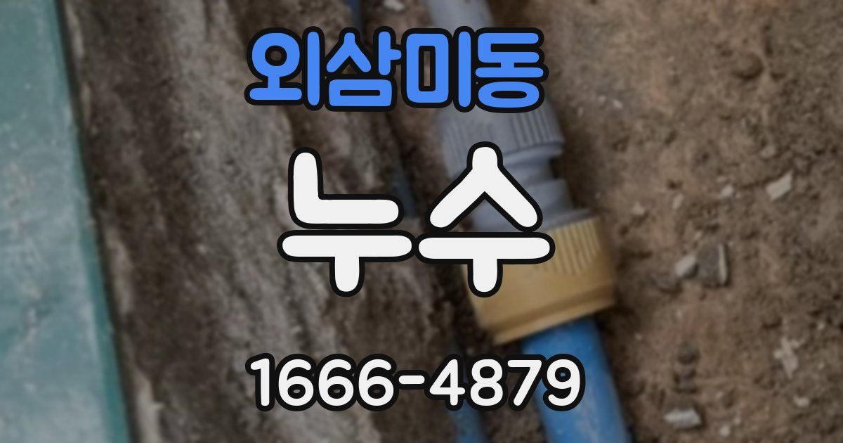 외삼미동 누수