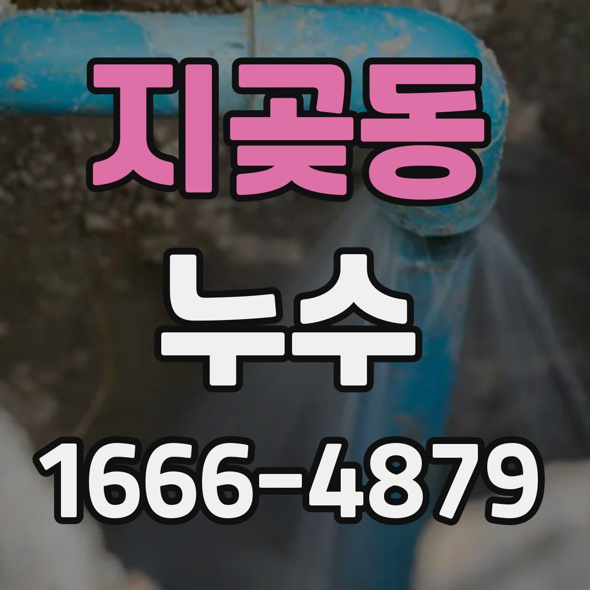 지곶동 누수