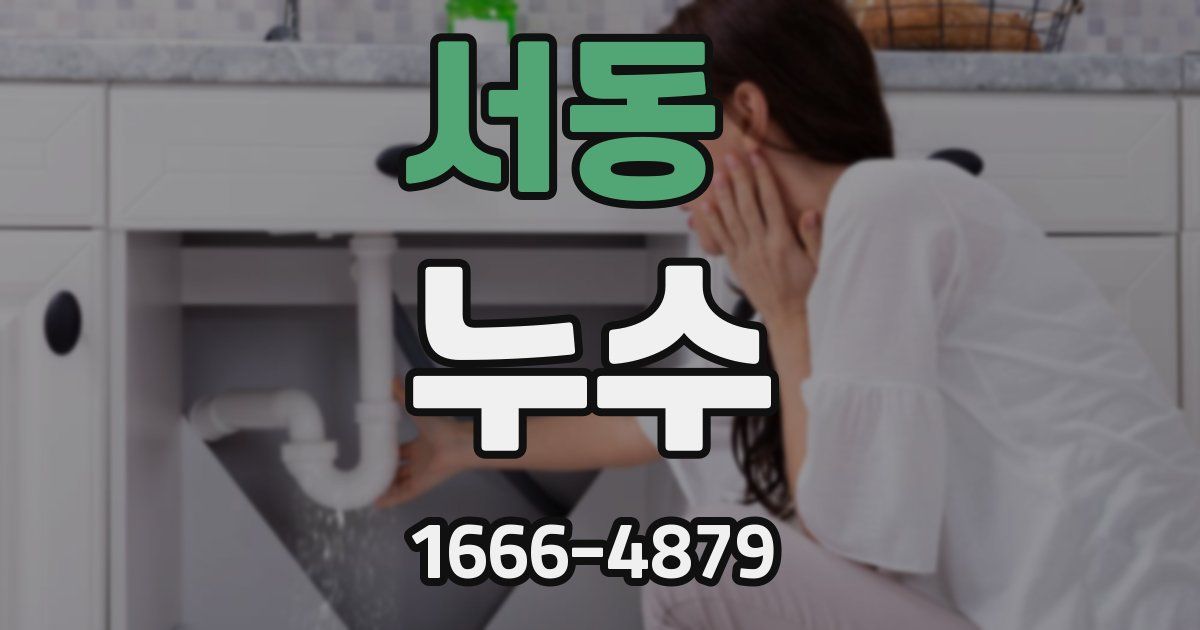 서동 누수