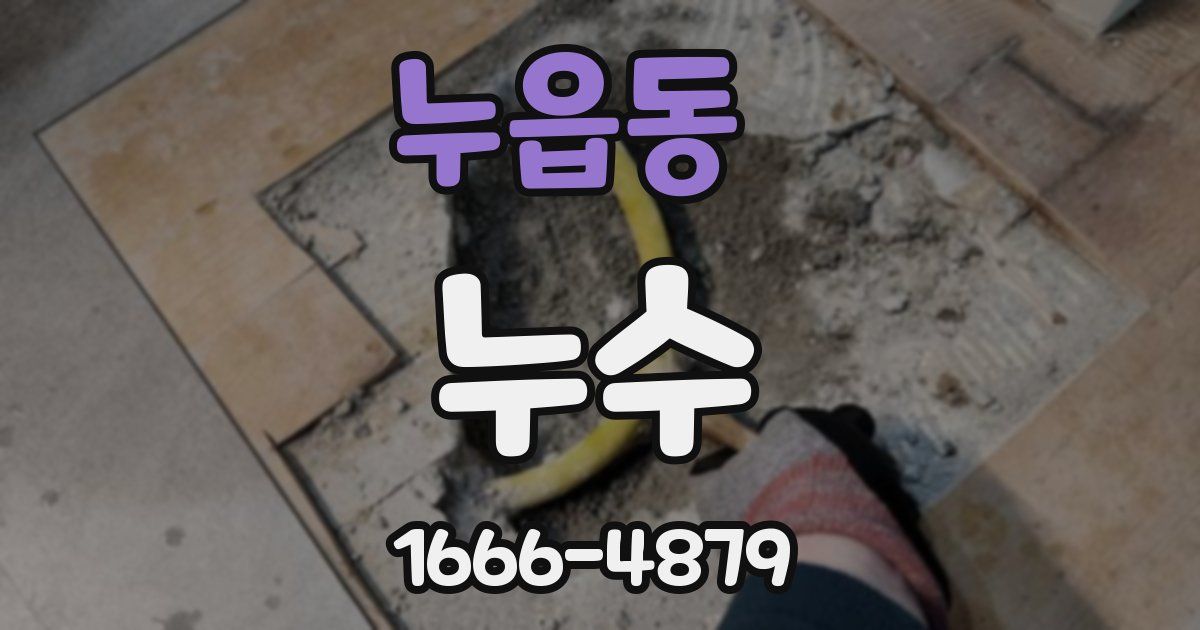 누읍동 누수