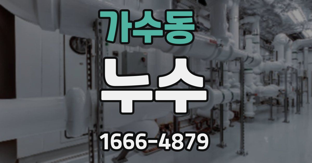 가수동 누수