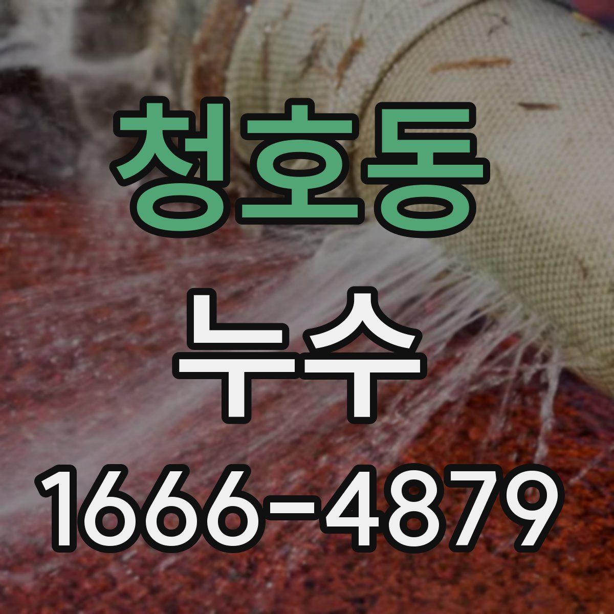 청호동 누수