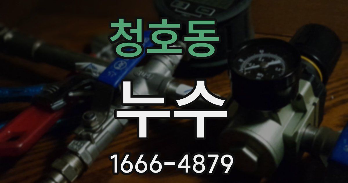 청호동 누수