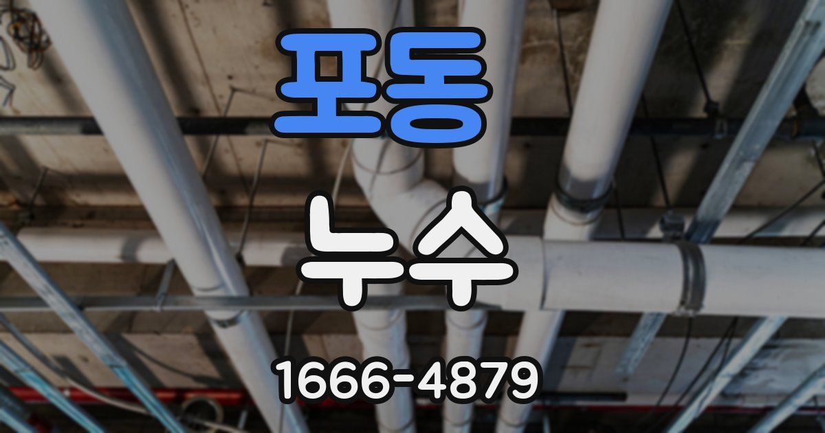 포동 누수