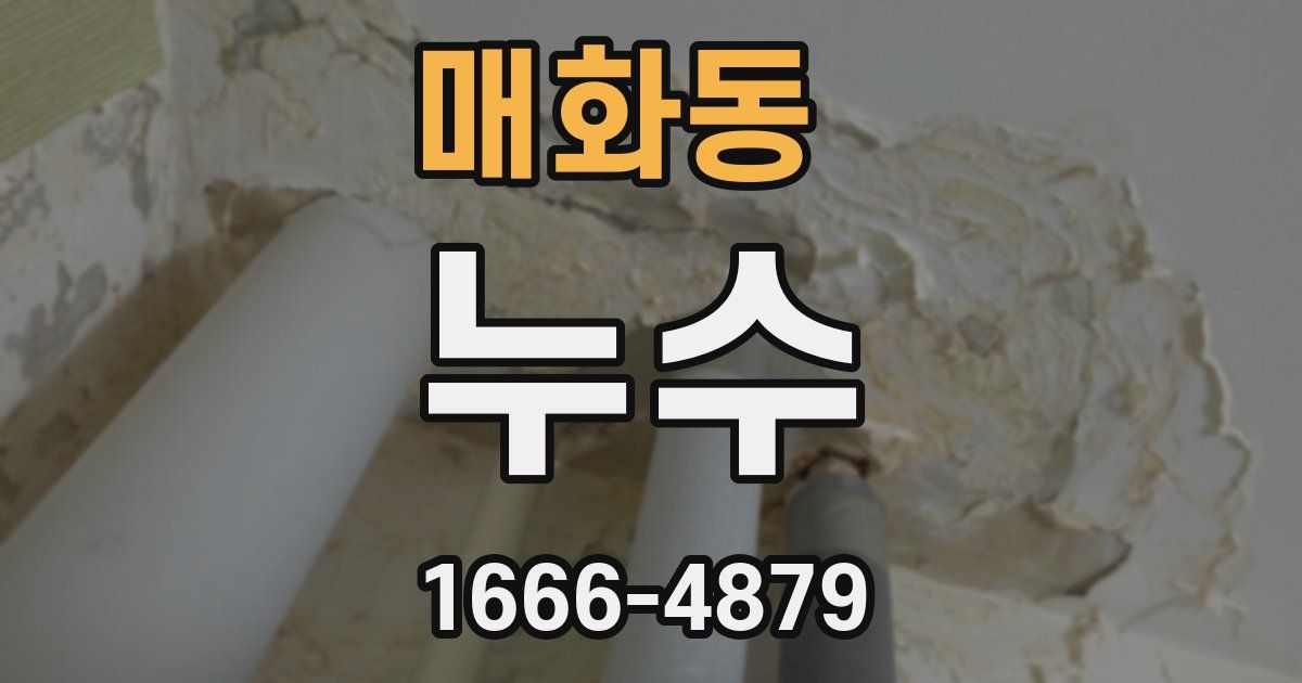 매화동 누수