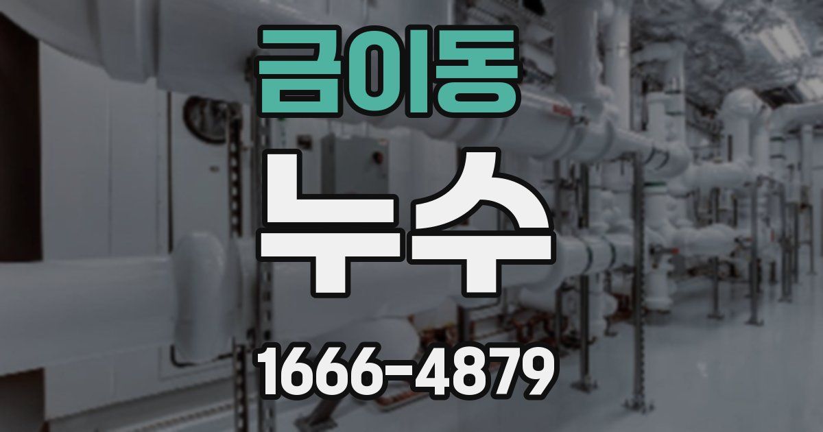 금이동 누수