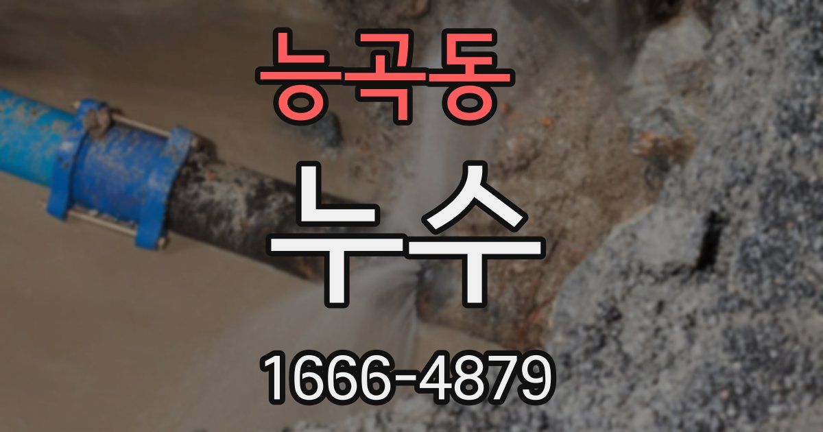능곡동 누수
