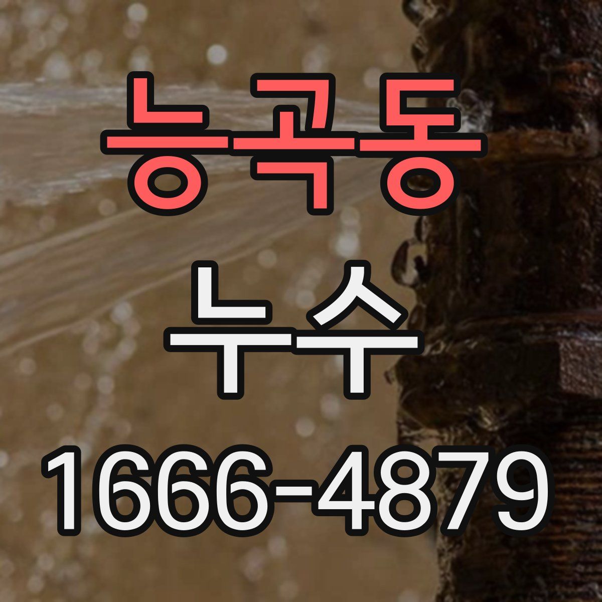 능곡동 누수