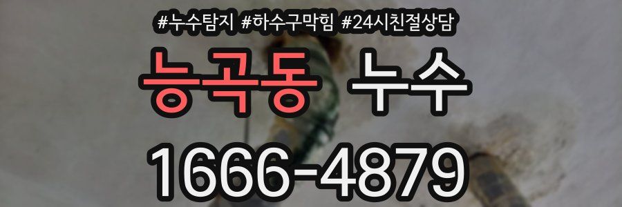 능곡동 누수