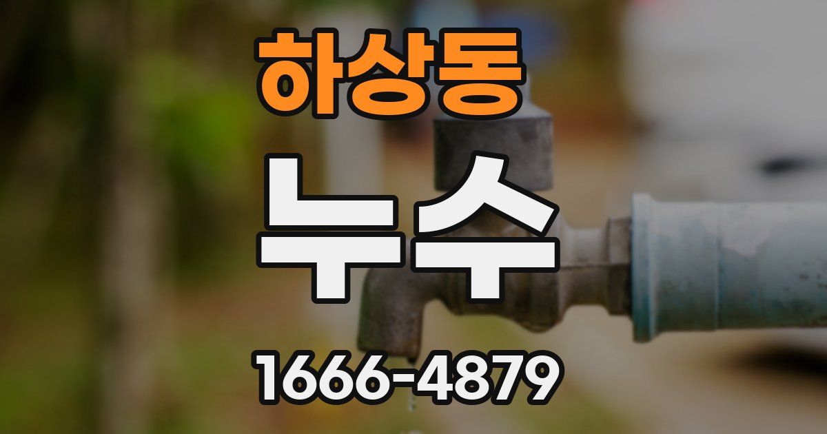하상동 누수