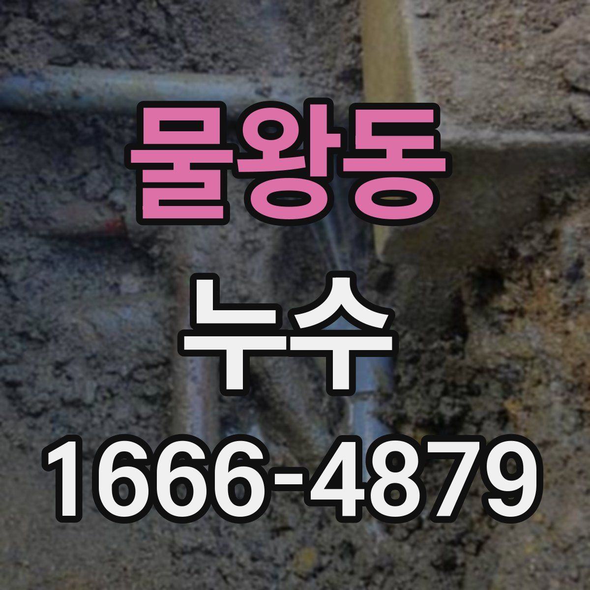 물왕동 누수