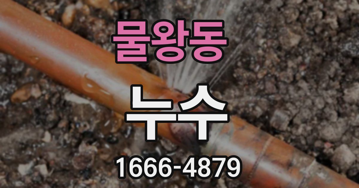 물왕동 누수