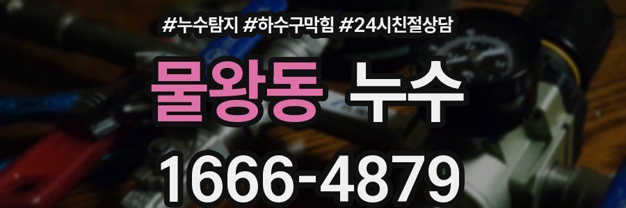 물왕동 누수