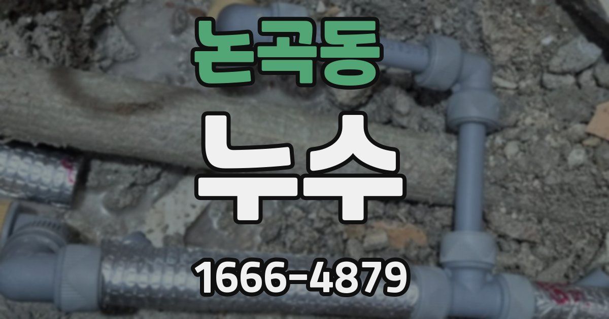 논곡동 누수