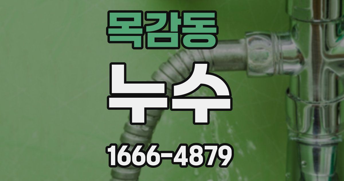 목감동 누수