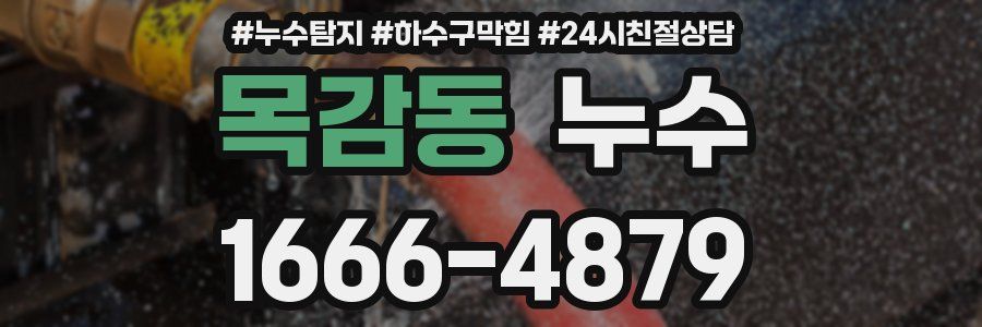 목감동 누수