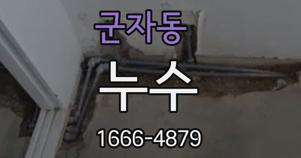 군자동 누수