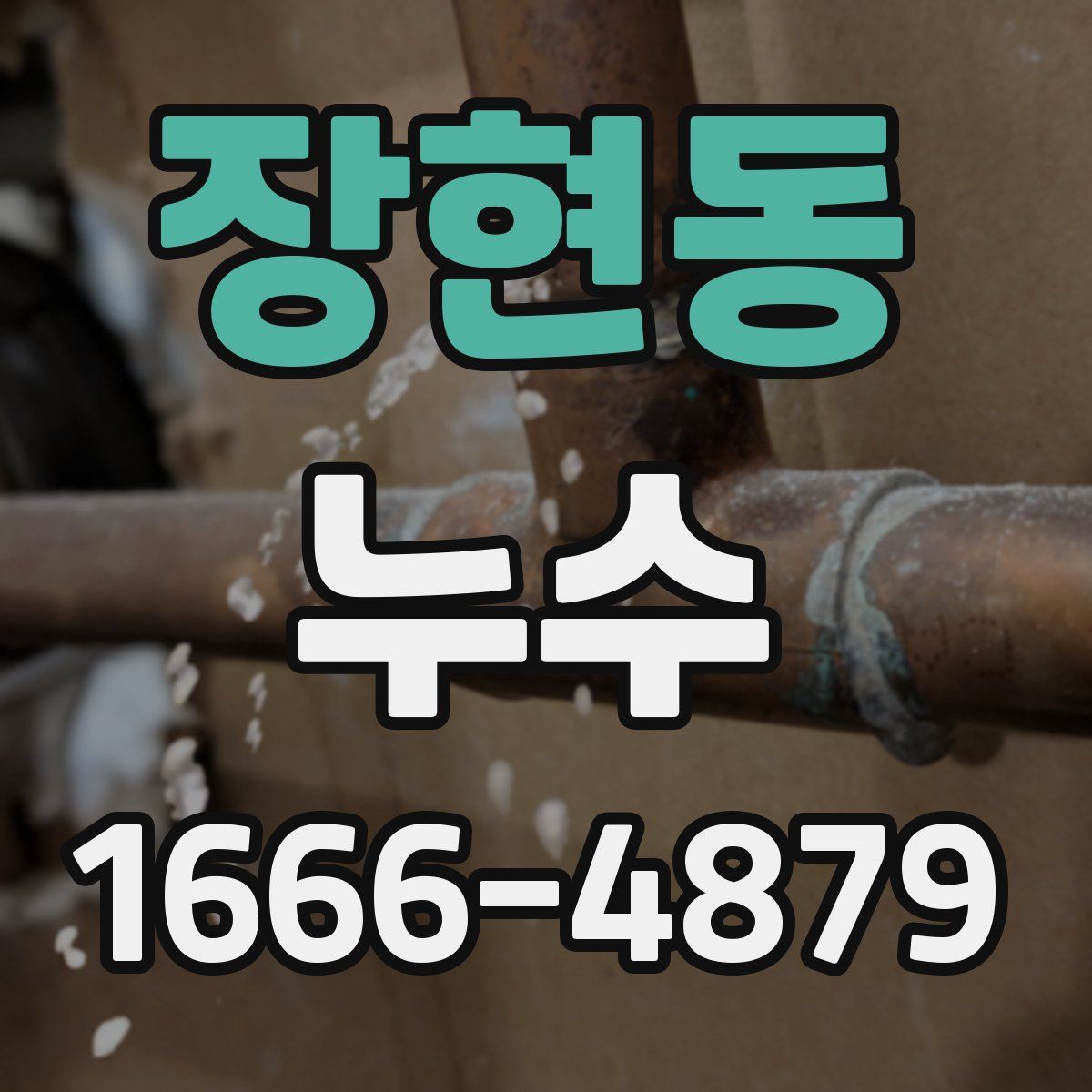 장현동 누수