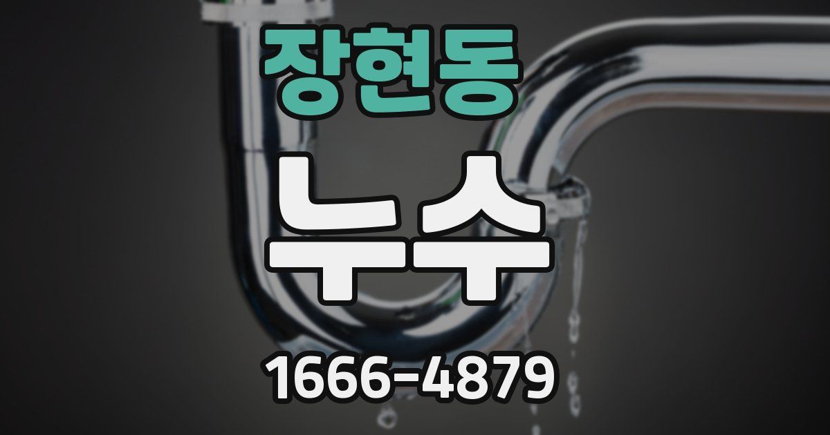 장현동 누수