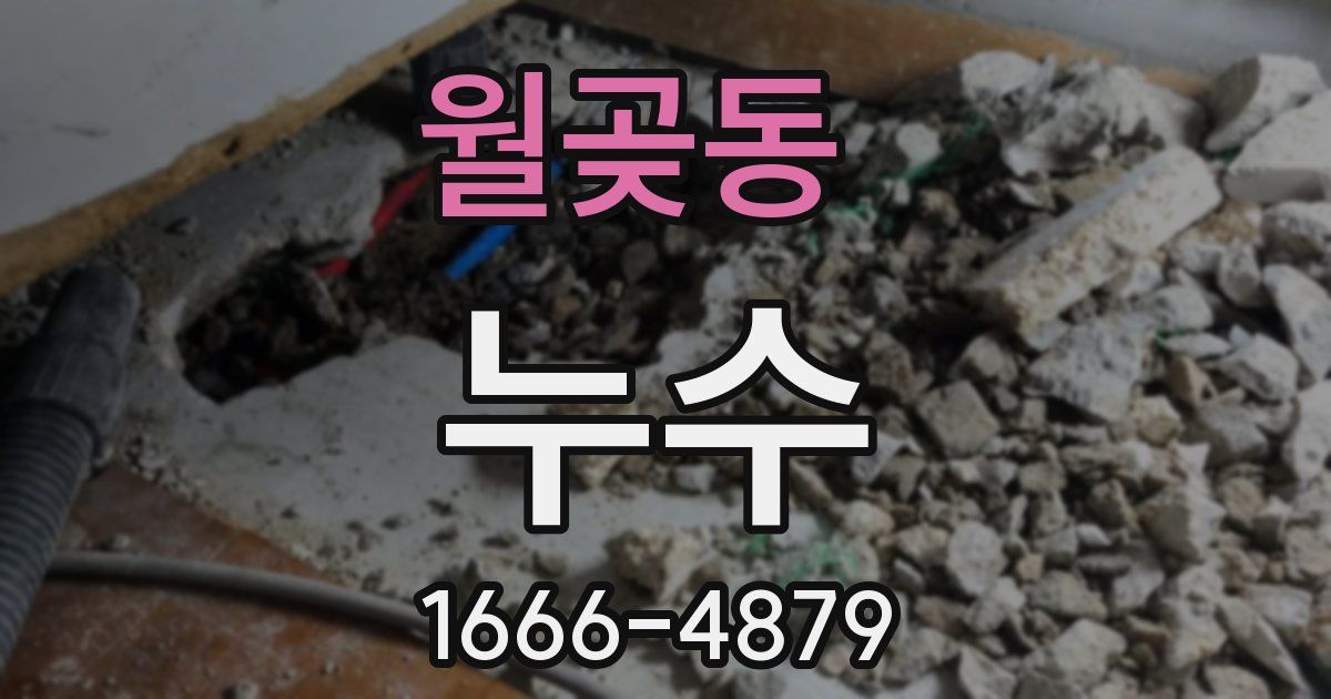 월곶동 누수