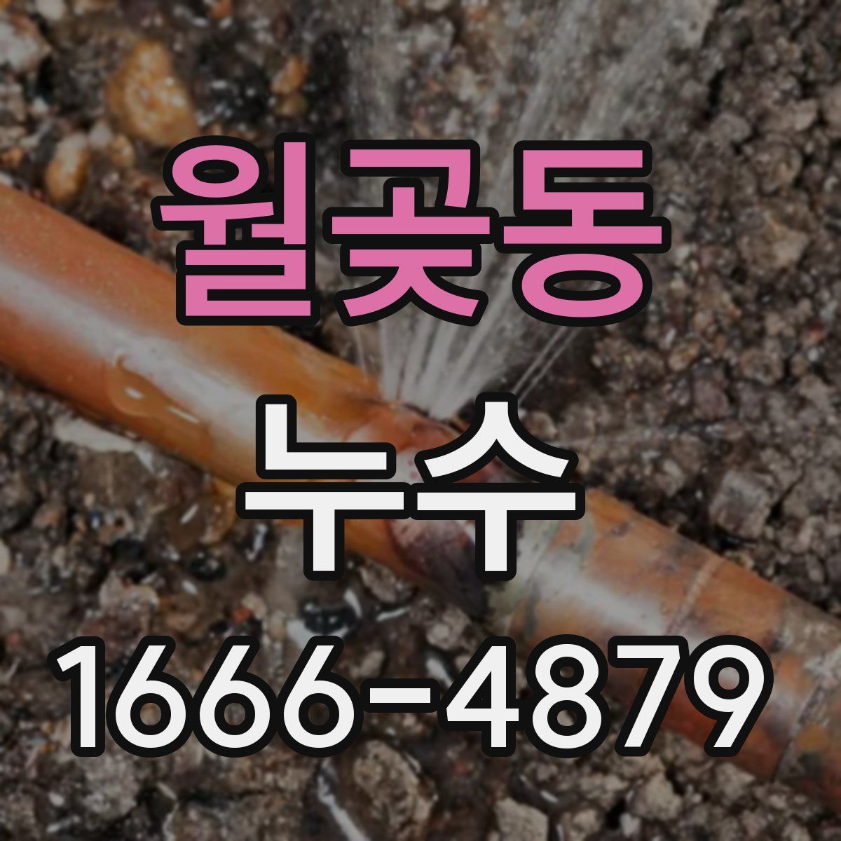 월곶동 누수