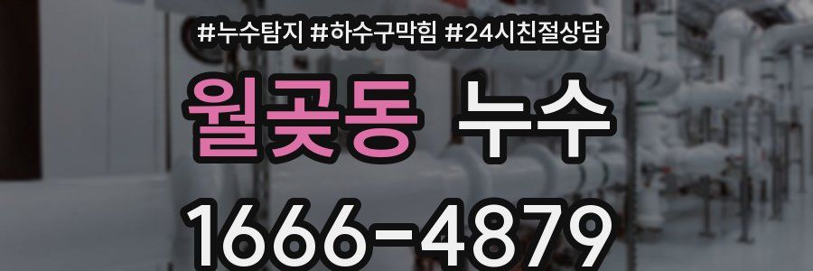 월곶동 누수