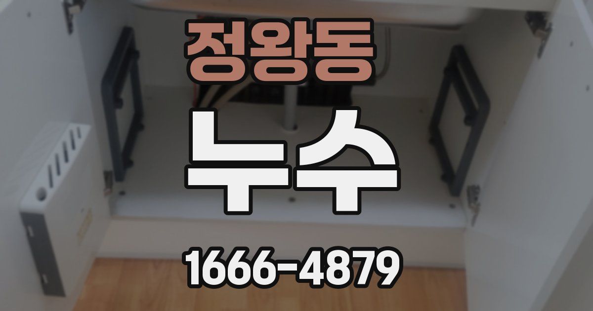 정왕동 누수