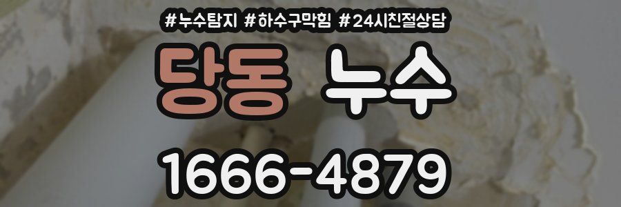 당동 누수