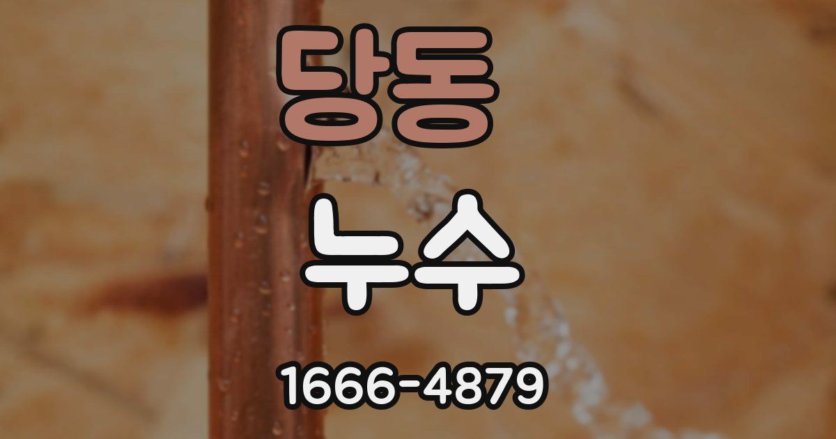 당동 누수
