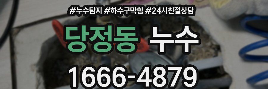 당정동 누수