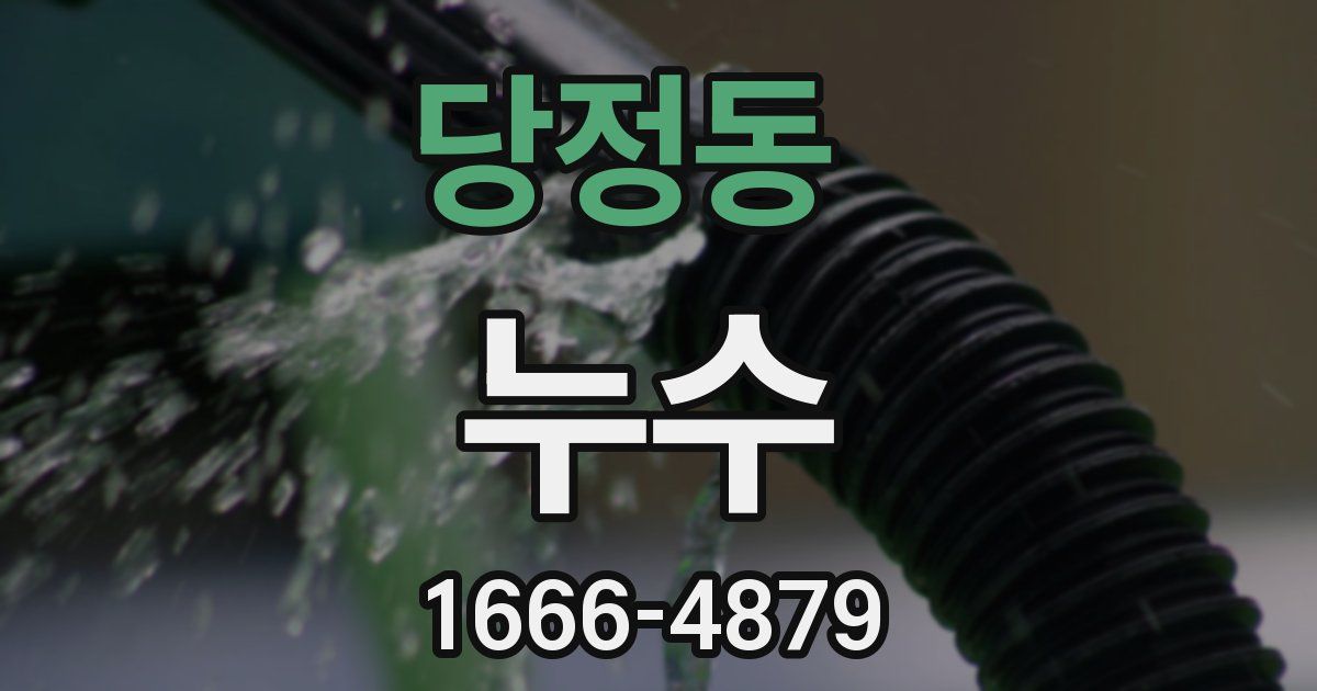 당정동 누수