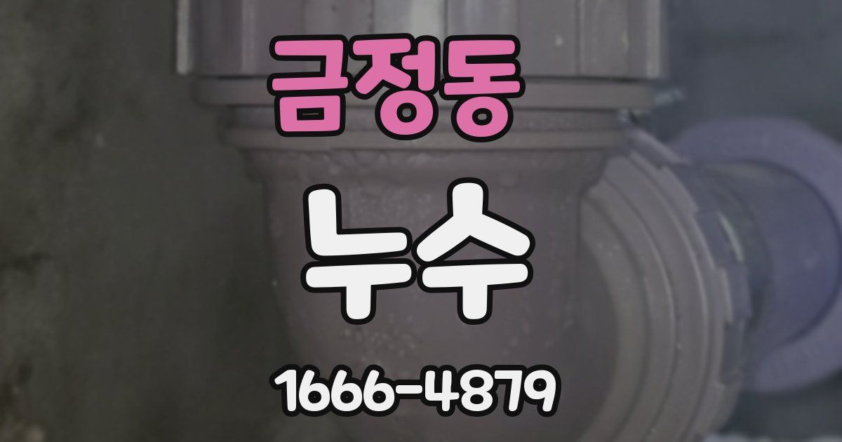 금정동 누수