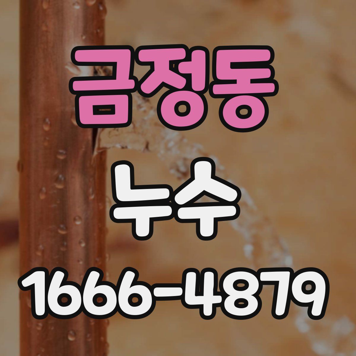 금정동 누수