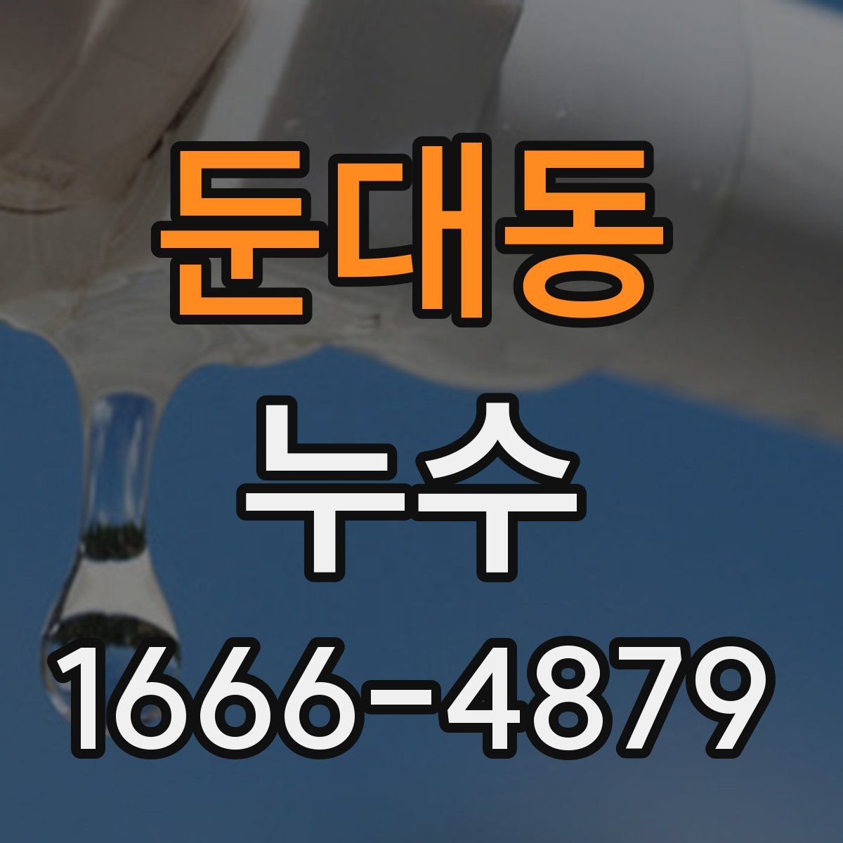 둔대동 누수