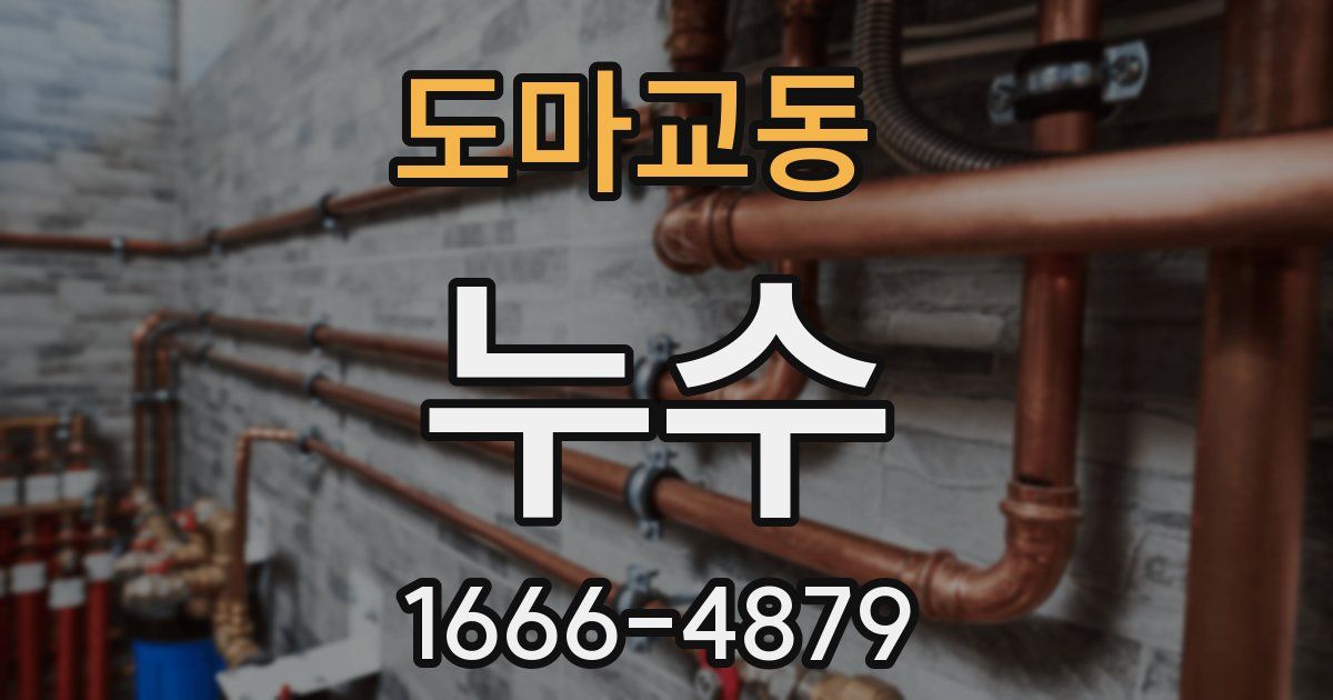 도마교동 누수