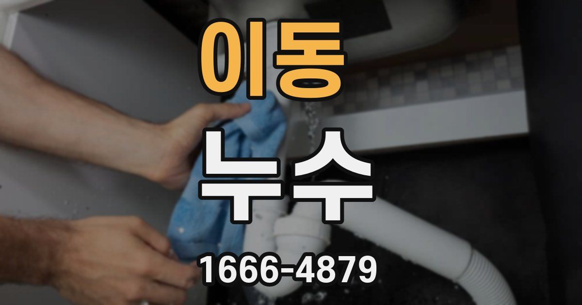 이동 누수