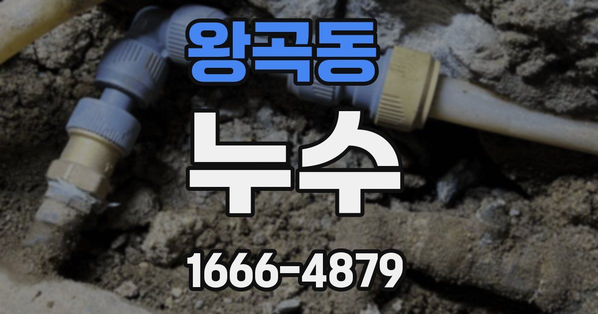 왕곡동 누수