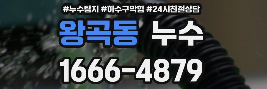 왕곡동 누수
