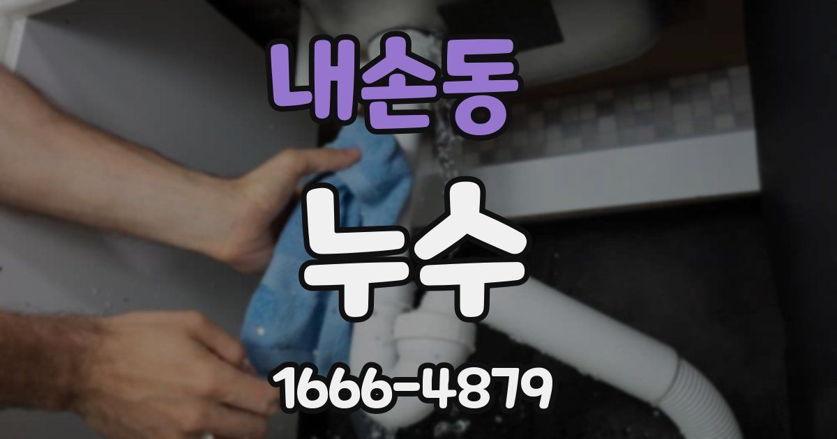 내손동 누수